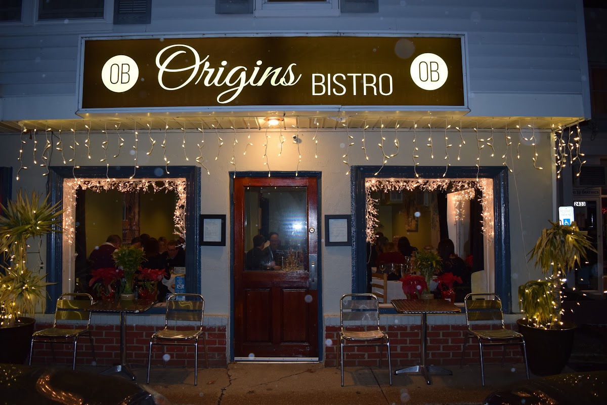 Origins Bistro